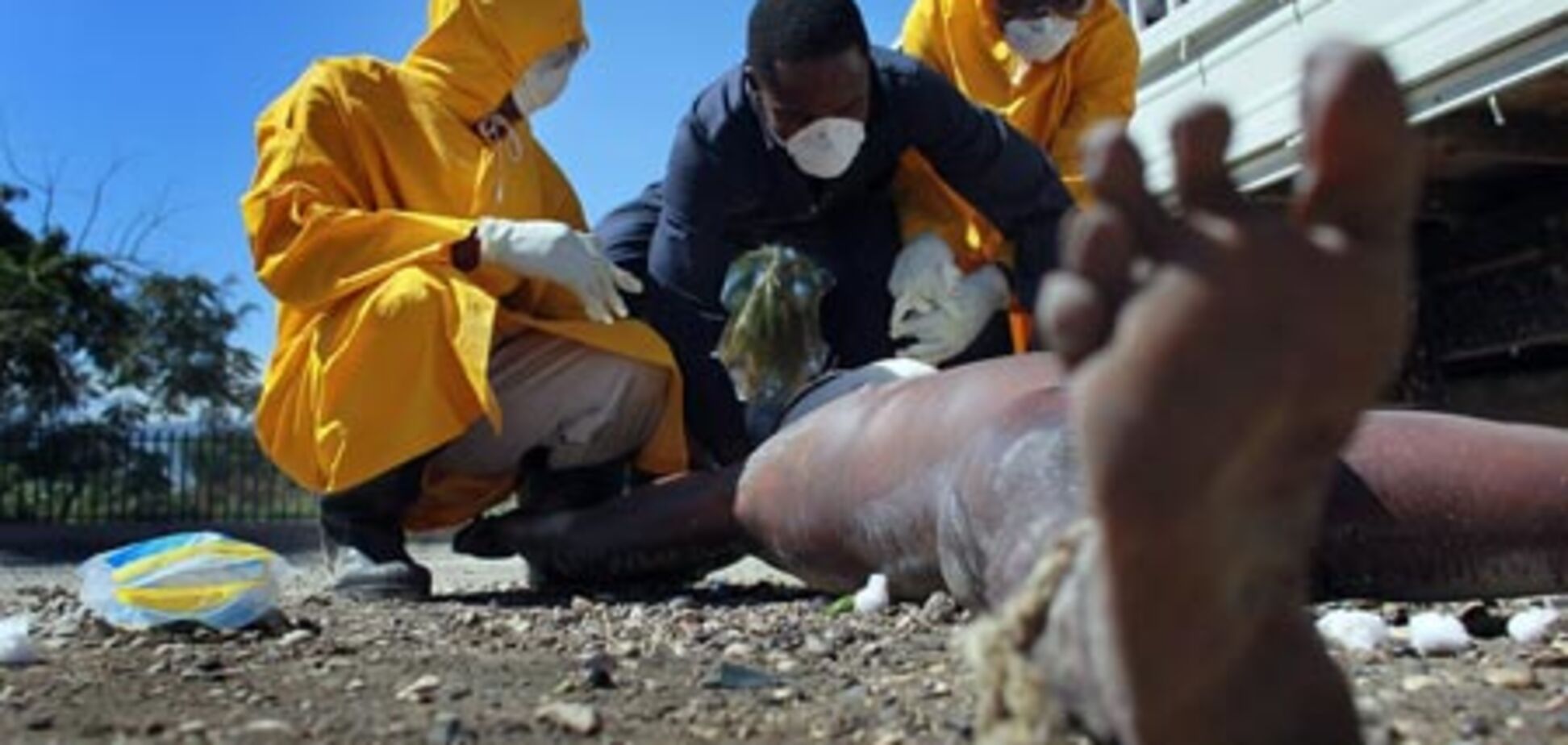 Эпидемия Холеры на Гаити: количество жертв продолжает расти