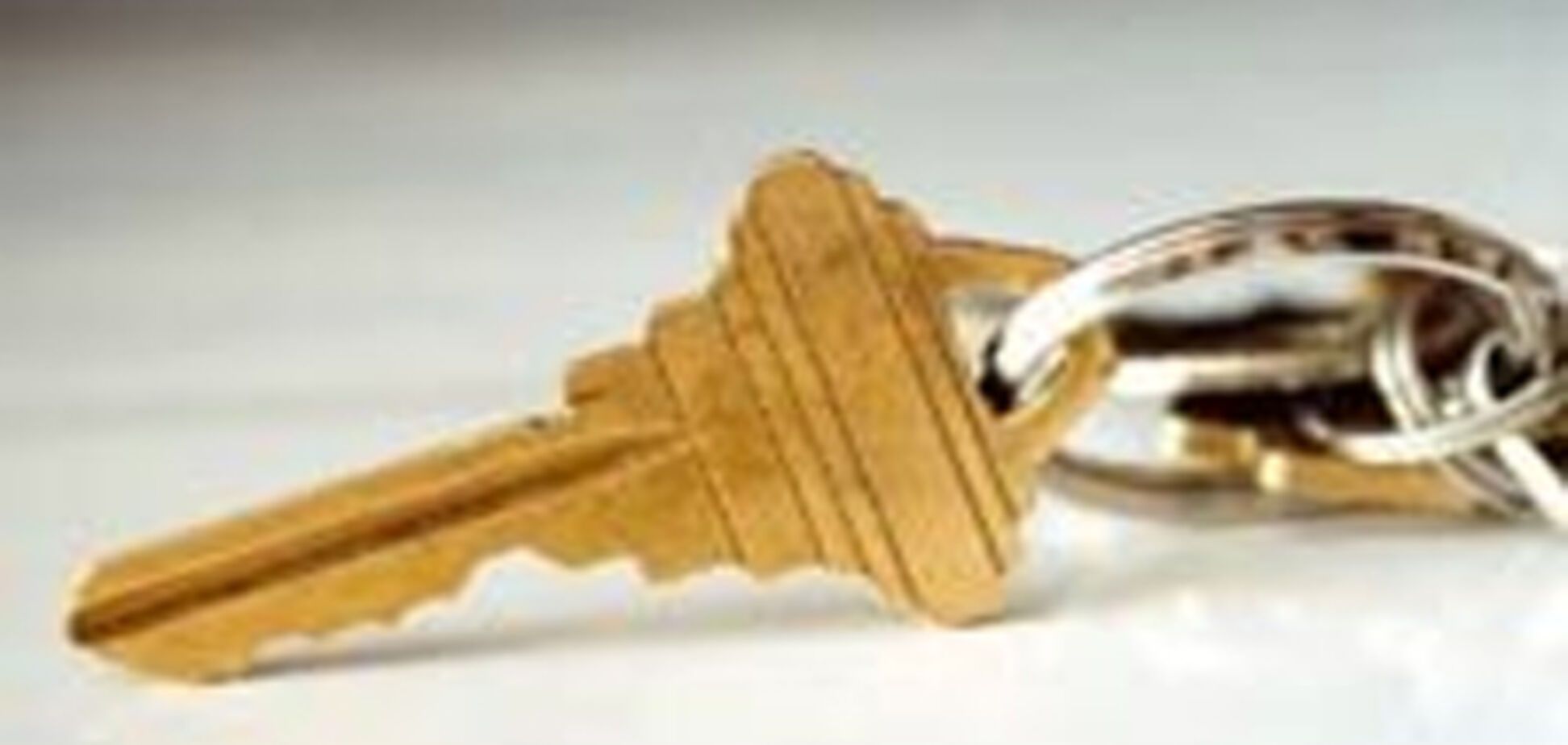 'Черные' риелторы на тропе войны