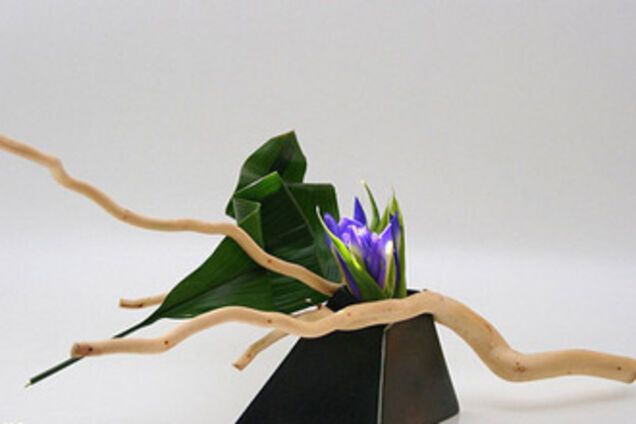 Искусство икебаны согревает дом. ФОТО