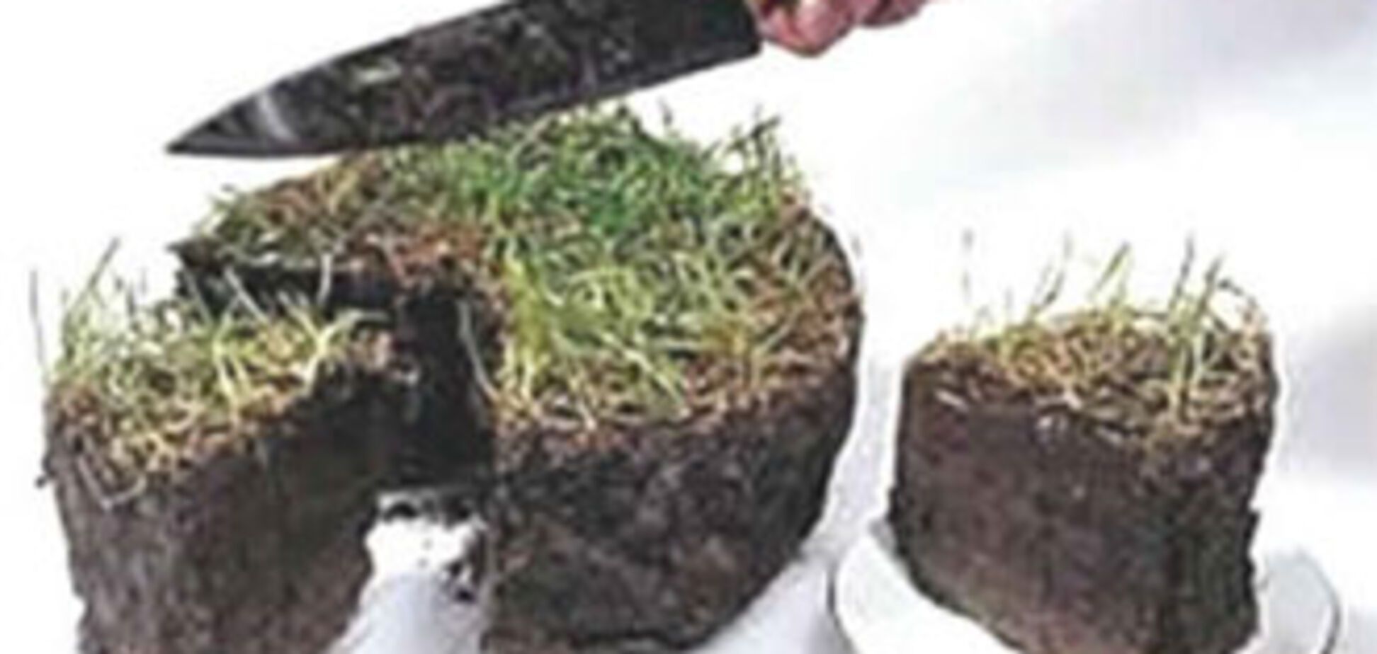 Под Киевом арестовано 700 га земли