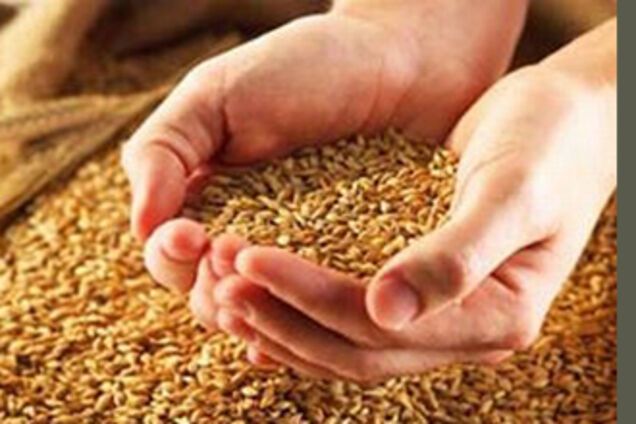 Кабмин не может определиться с квотами на зерно