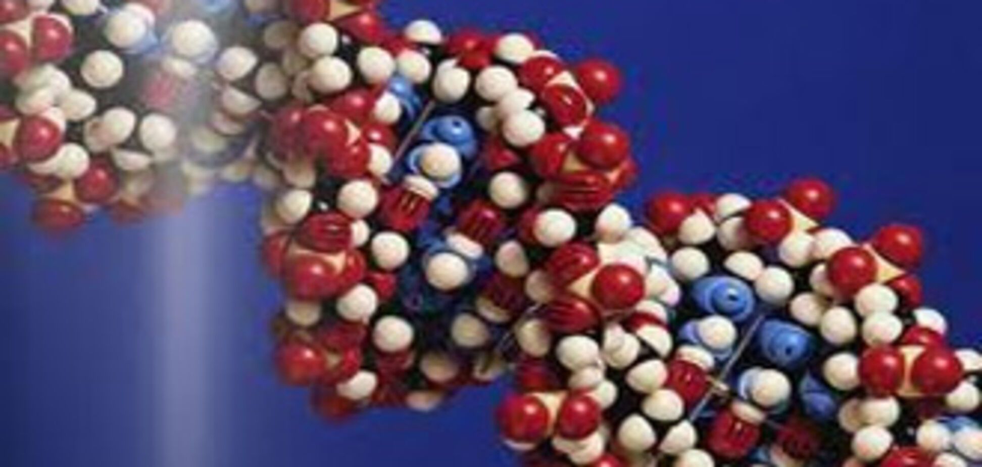 Как ловят преступников с помощью молекулярных улик