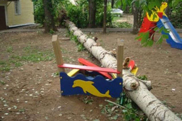 В Винницкой области дерево упало на группу детей