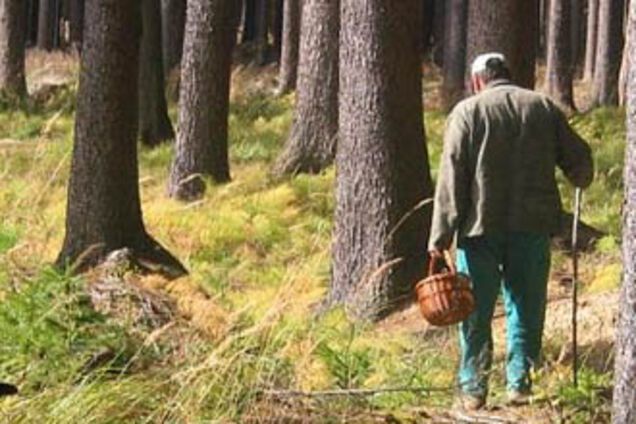 Сезон охоты перенесли: в лесах пока много диких грибников
