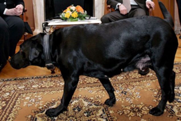 Буш присвятив частину мемуарів собаці Путіна