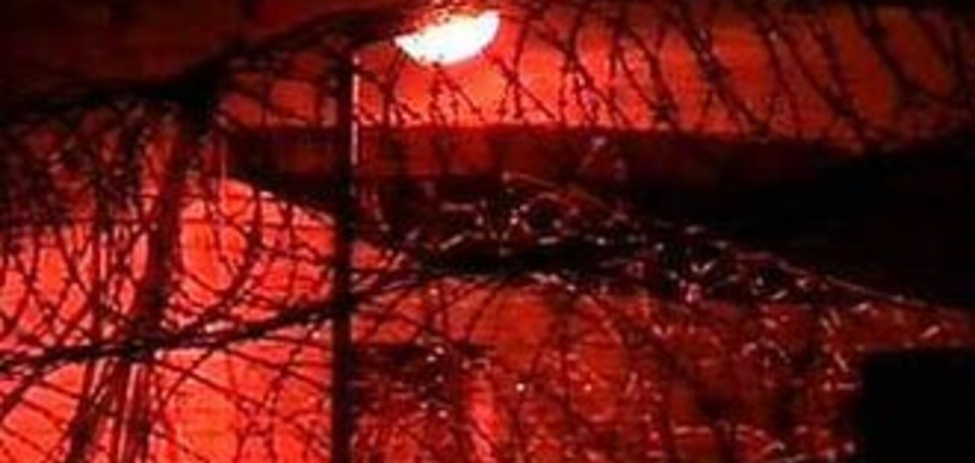 Обвиняемые в тюремном бунте вскрыли вены на заседании суда