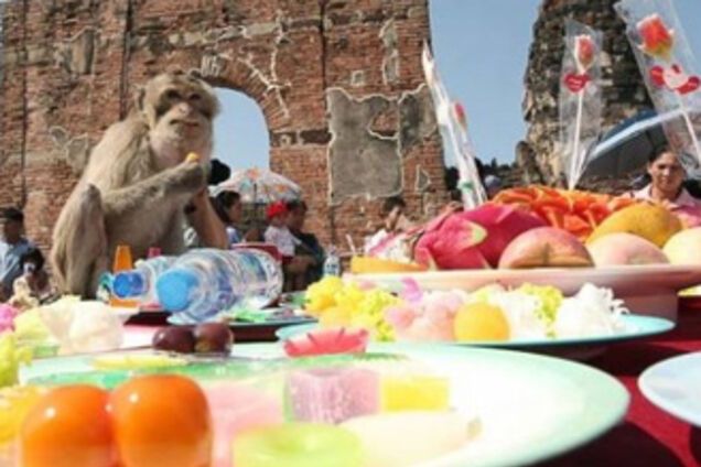 Обезьяний банкет в тайской провинции Лопбури