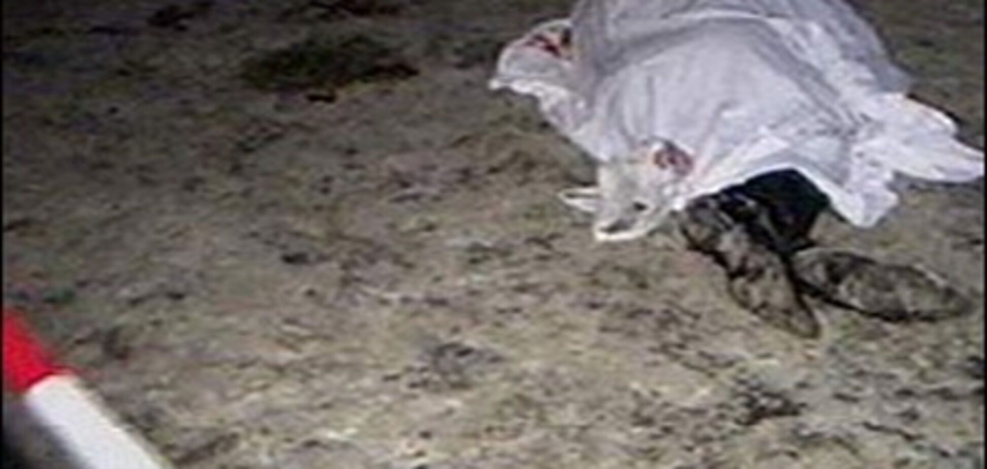 Директора ночного клуба забили насмерть. ФОТО