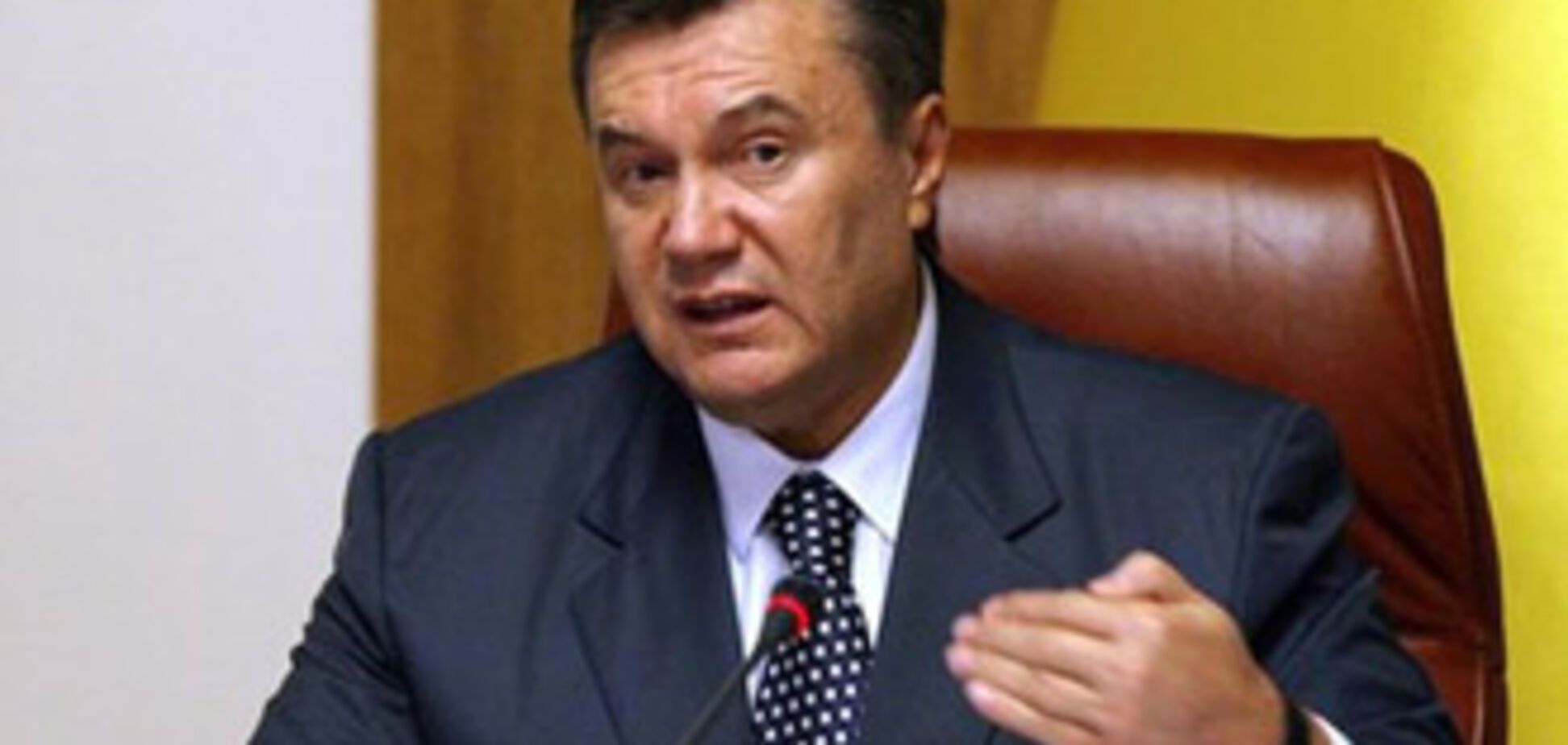 Янукович считает, что участие в СНГ выгодно Украине