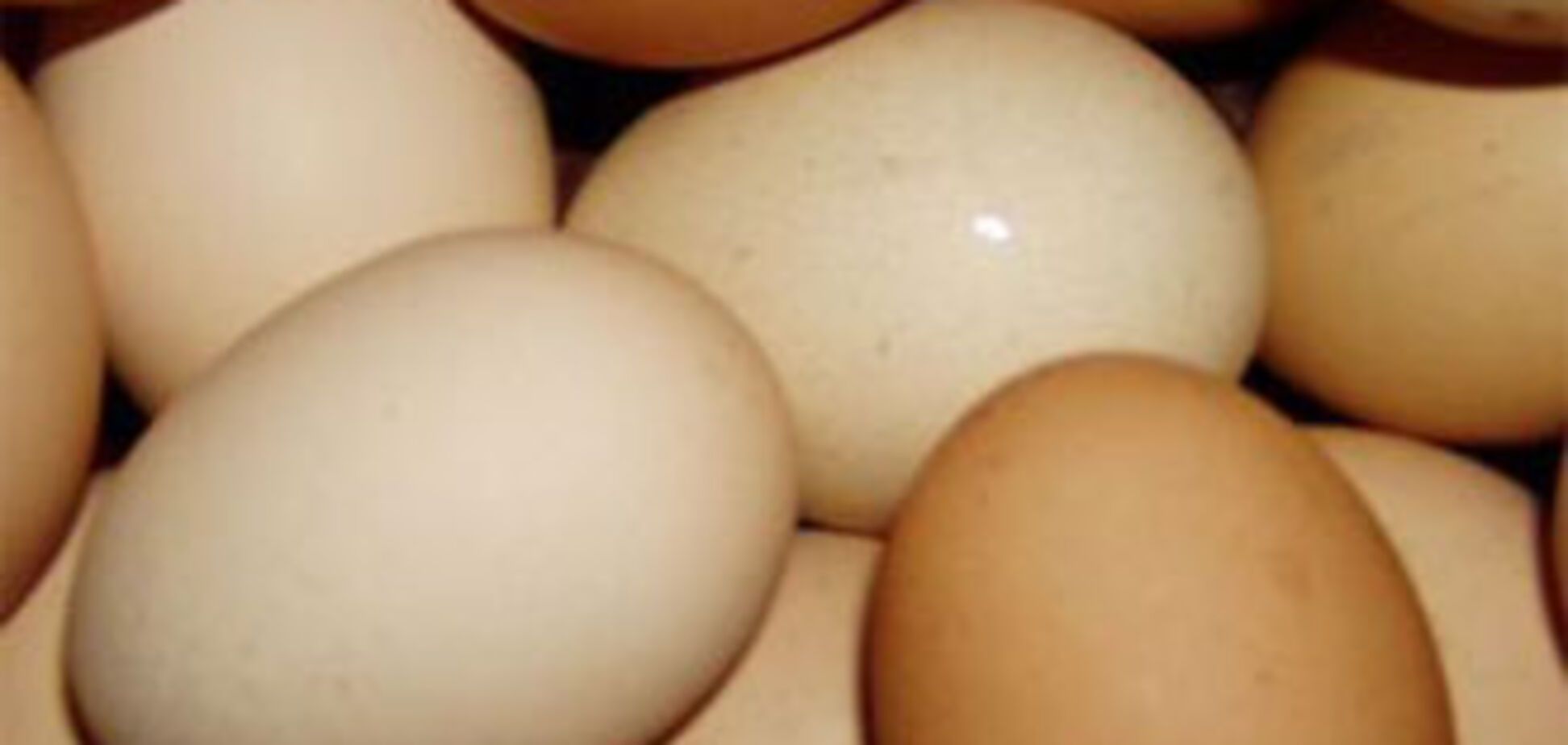 У магазинах Вірменії продаються яйця з печаткою Міноборони