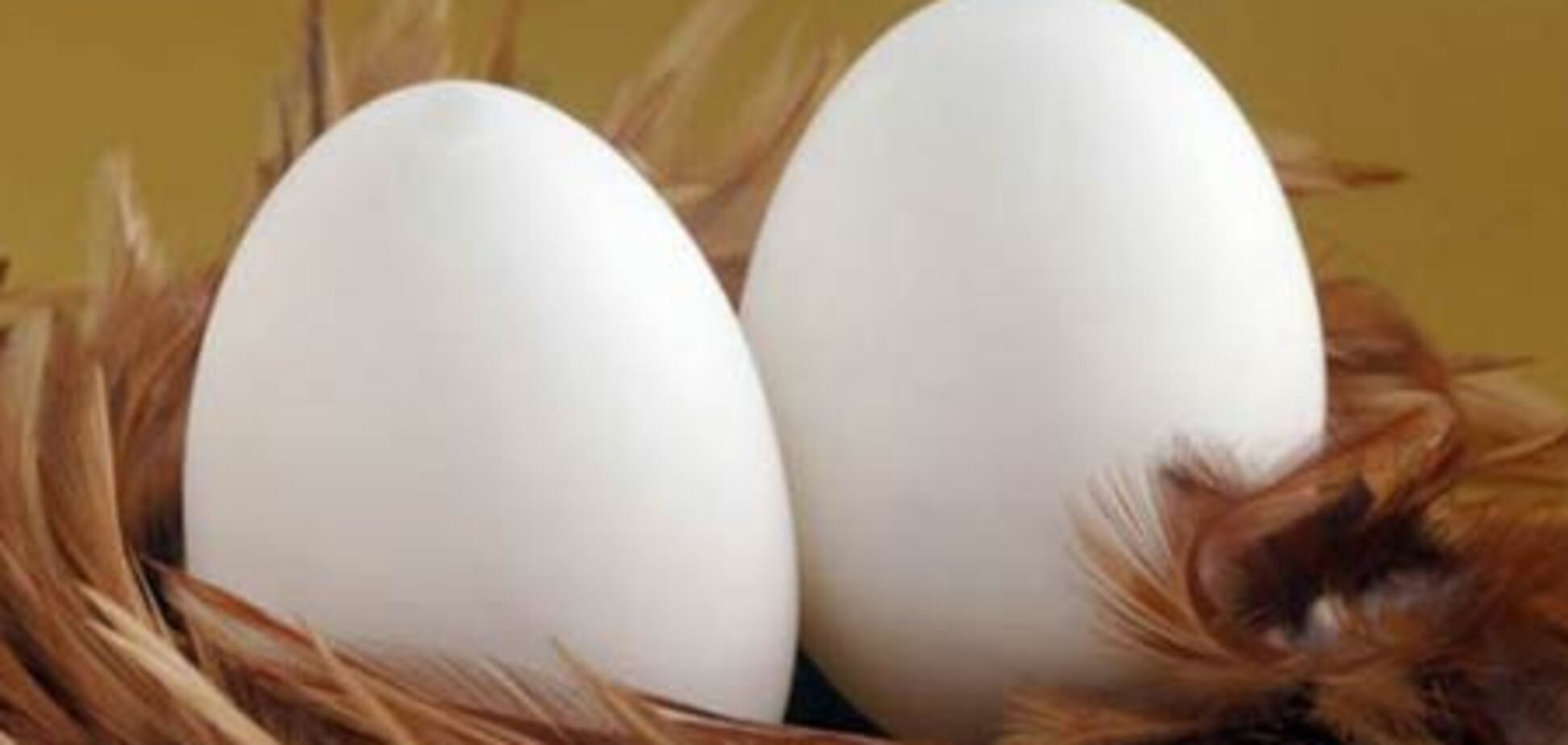 Яичный скандал сотряс минобороны Армении