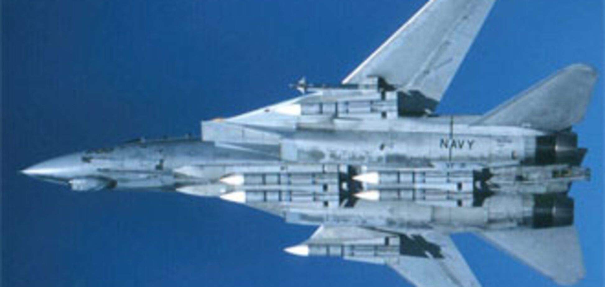 Винищувач НАТО помилково розстріляв поліцейський конвой