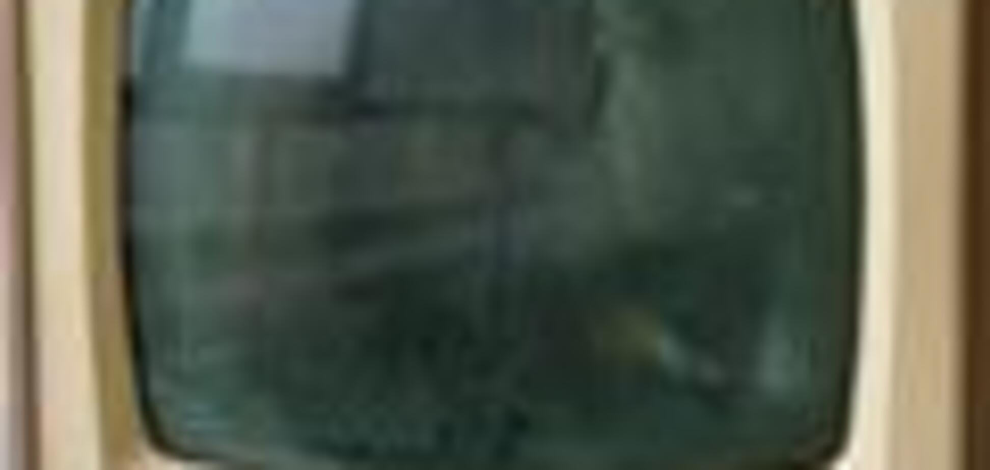 Тимошенко назве Одеський порт на честь Степана Бандери?