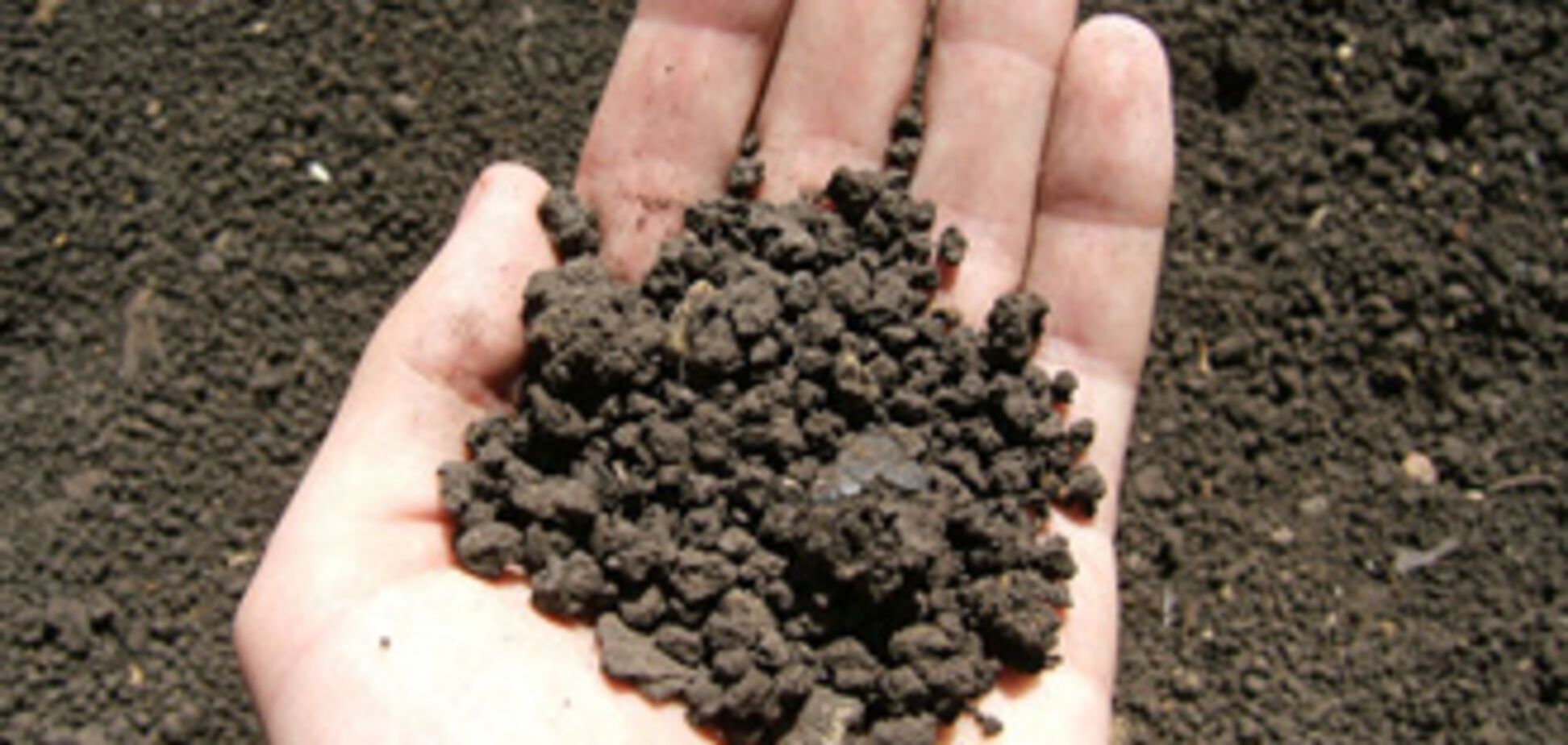 Мораторій на продаж землі набув чинності