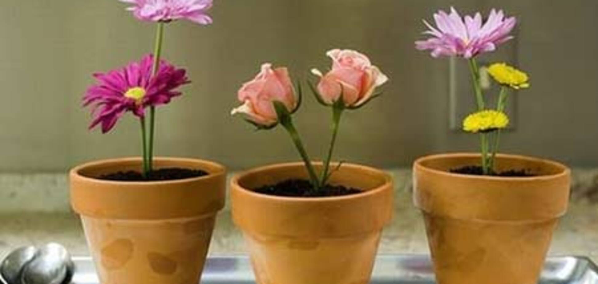 Угадай, в чем прикол