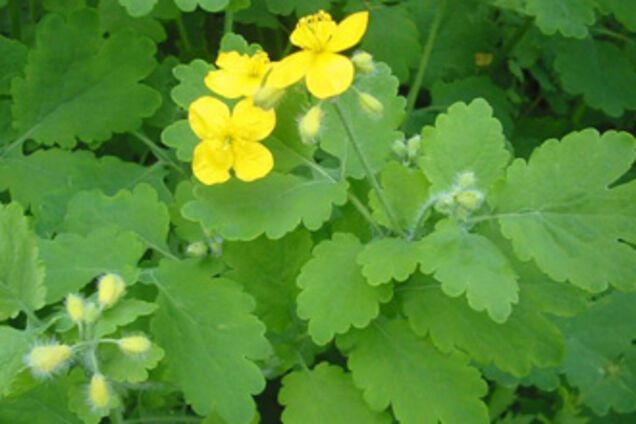 Названі головні вороги гарного зору!