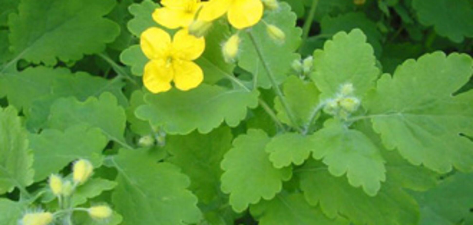 Названі головні вороги гарного зору!