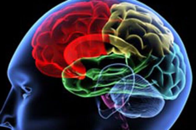 У мозку знайдена зона справедливості