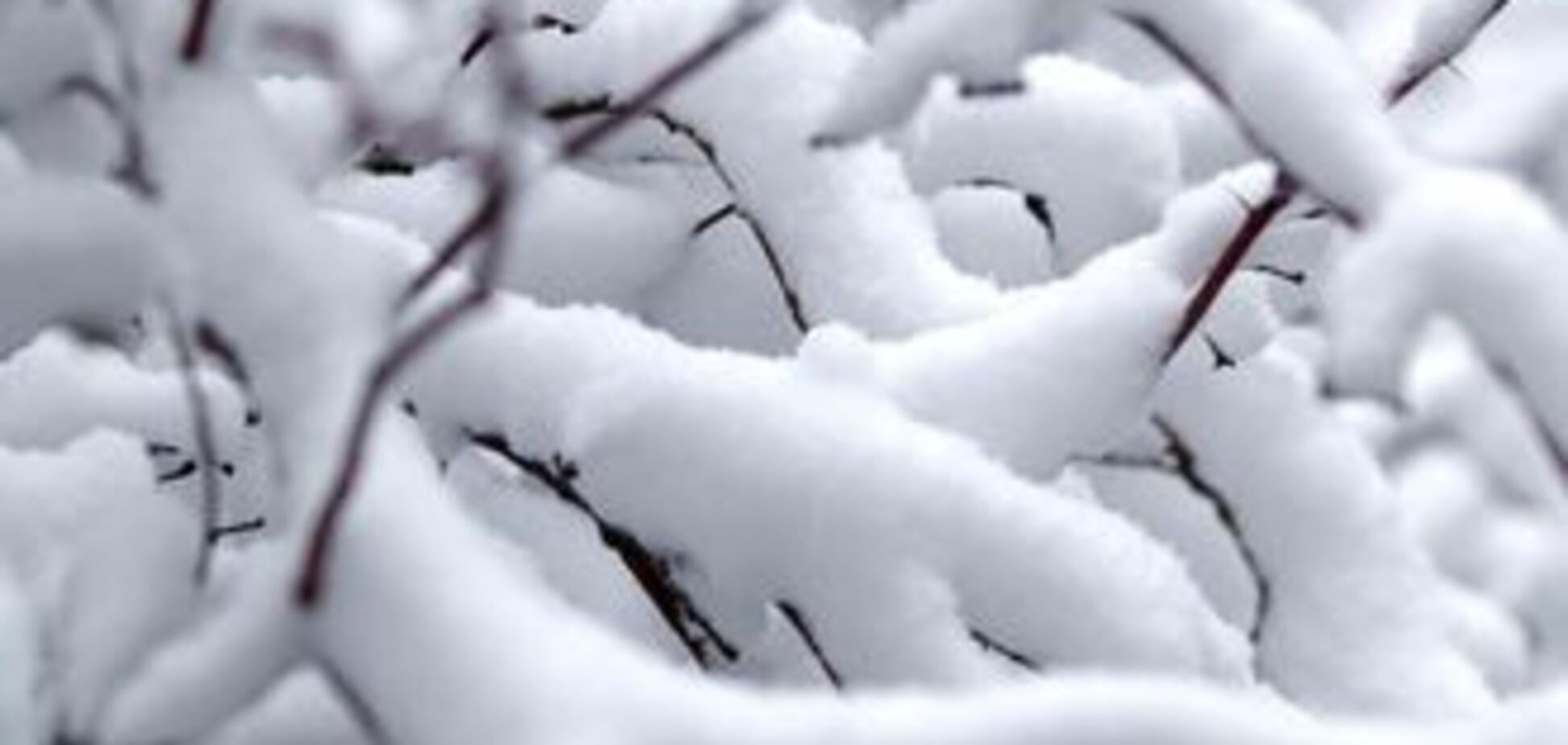 В Нью-Йорке выпало рекордное количество снега