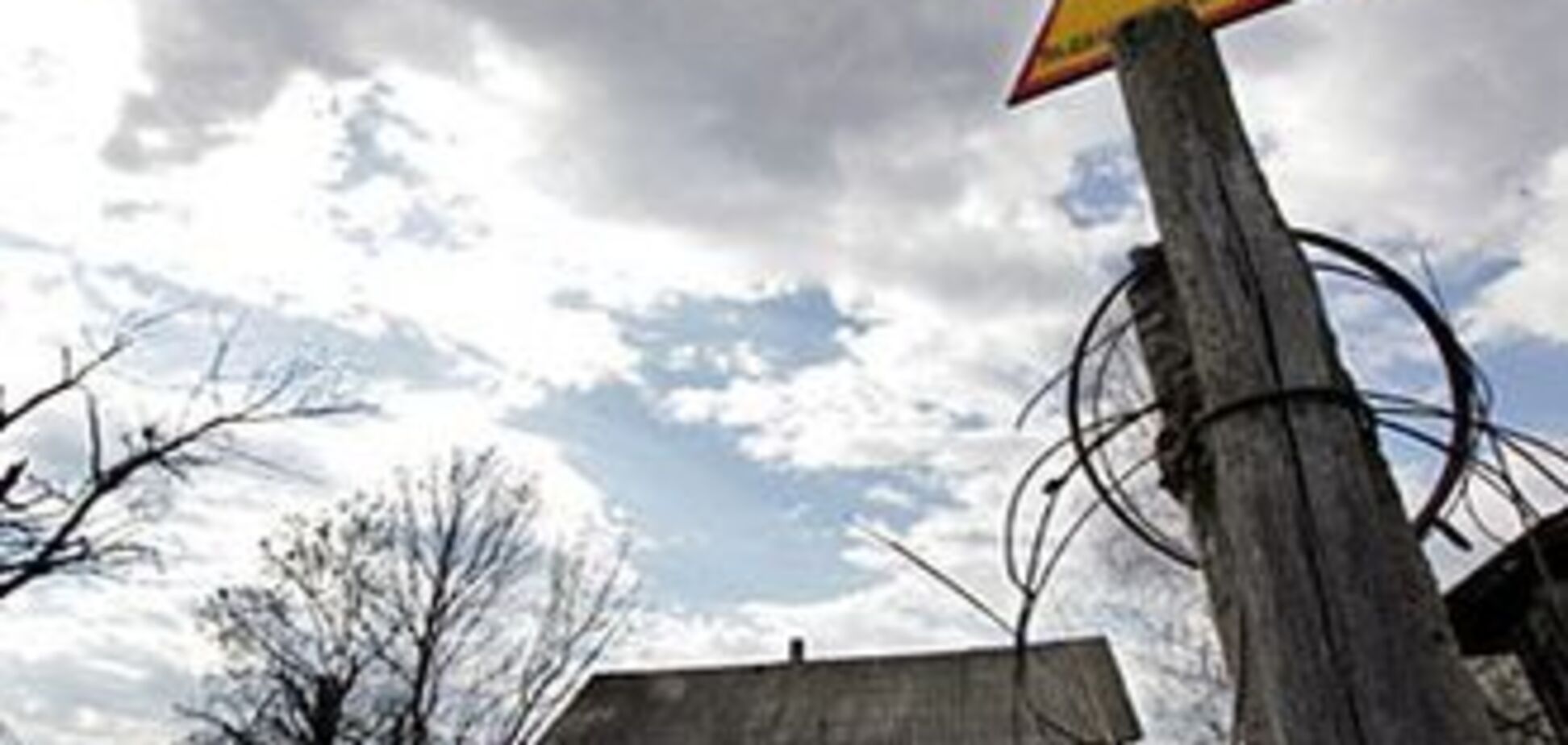 У чорнобильській зоні виявили пасічників-нелегалів