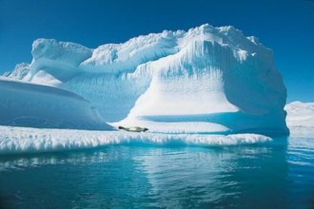 Танення арктичних льодів обходиться в мільярди доларів