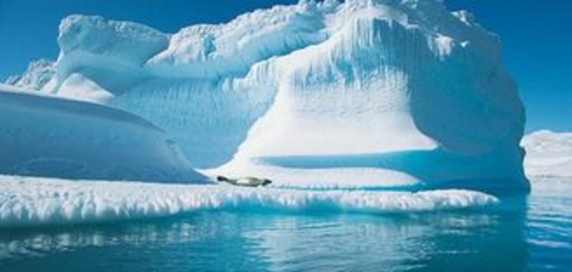 Таяние арктических льдов обходится в миллиарды долларов