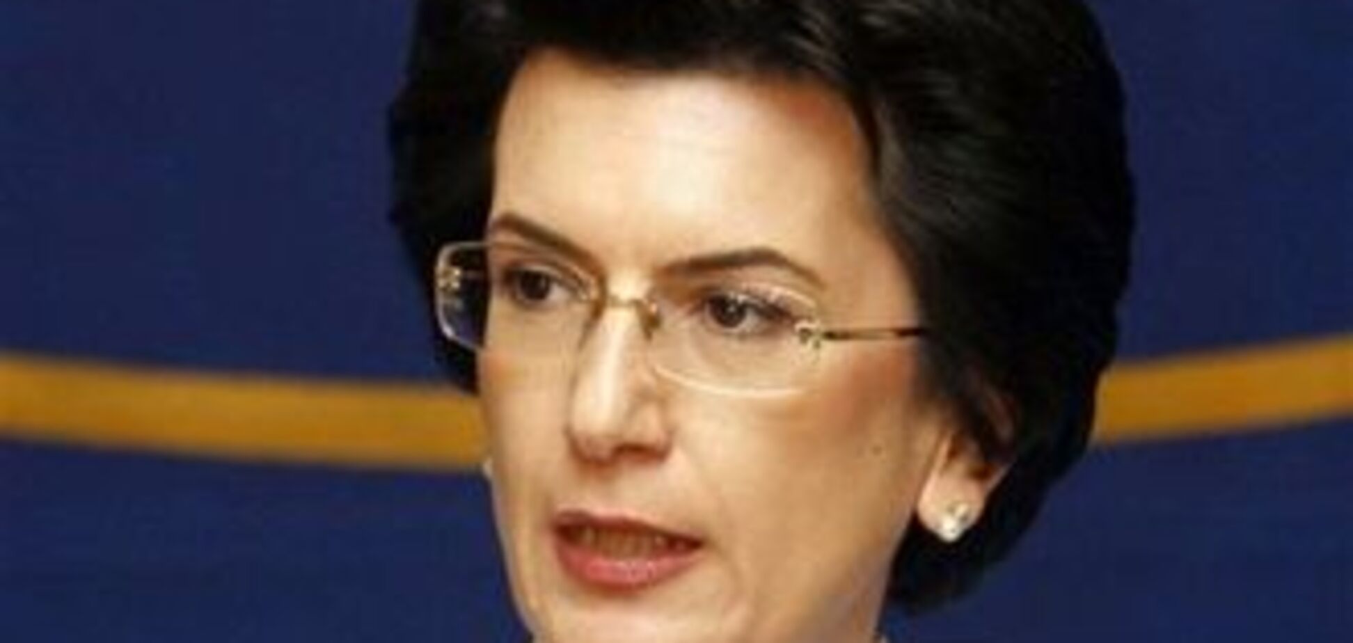 Бурджанадзе не смогла отсудить дачу у Саакашвили