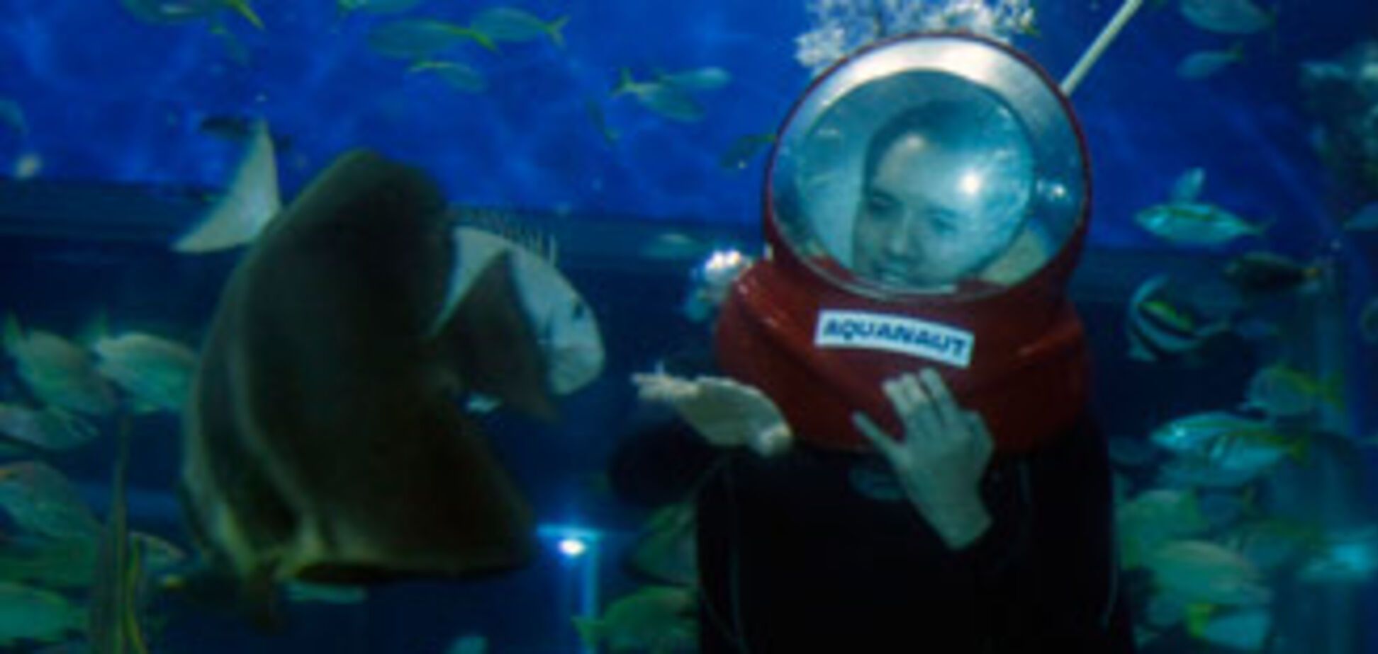 Огромный океанариум в Маниле. ФОТО