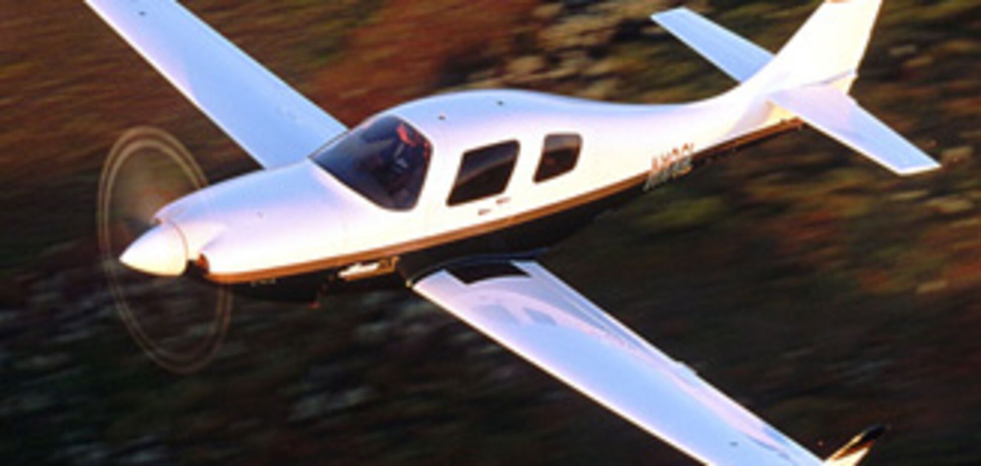 Бегавшего трусцой американца сбил самолет