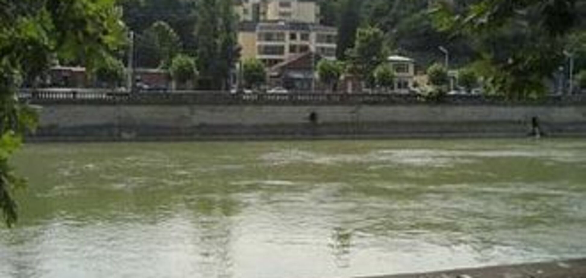 Мощное течение смыло в реку грузинский ресторан