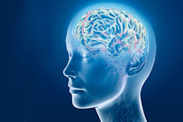 Как держать мозг в тонусе