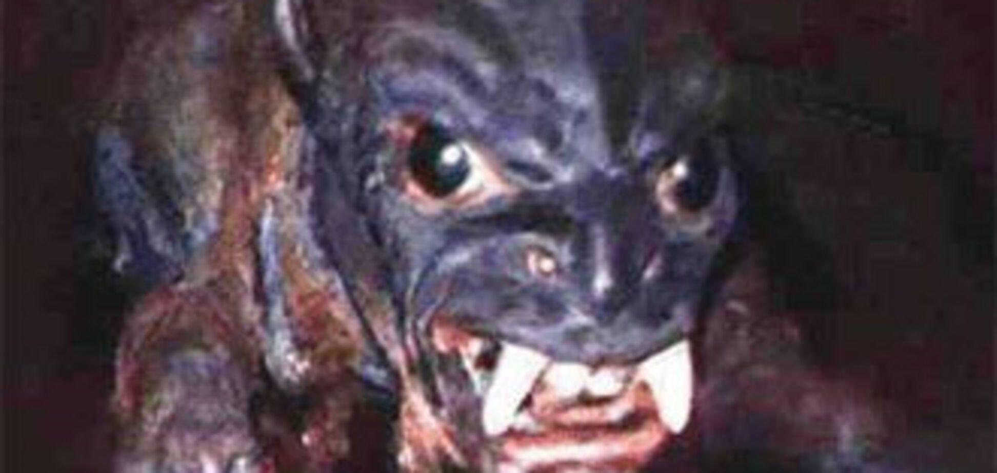 Чупакабра объявилась и в Закарпатье