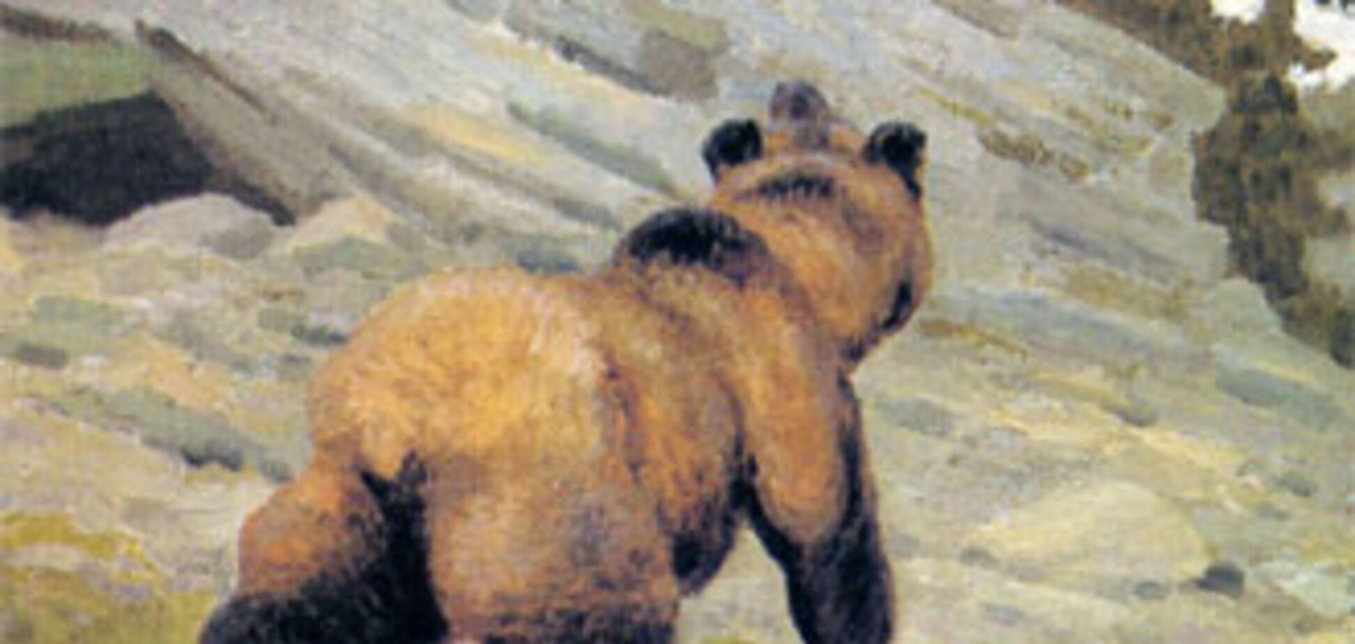 Медведь отомстил кришнаиту за убийство священника