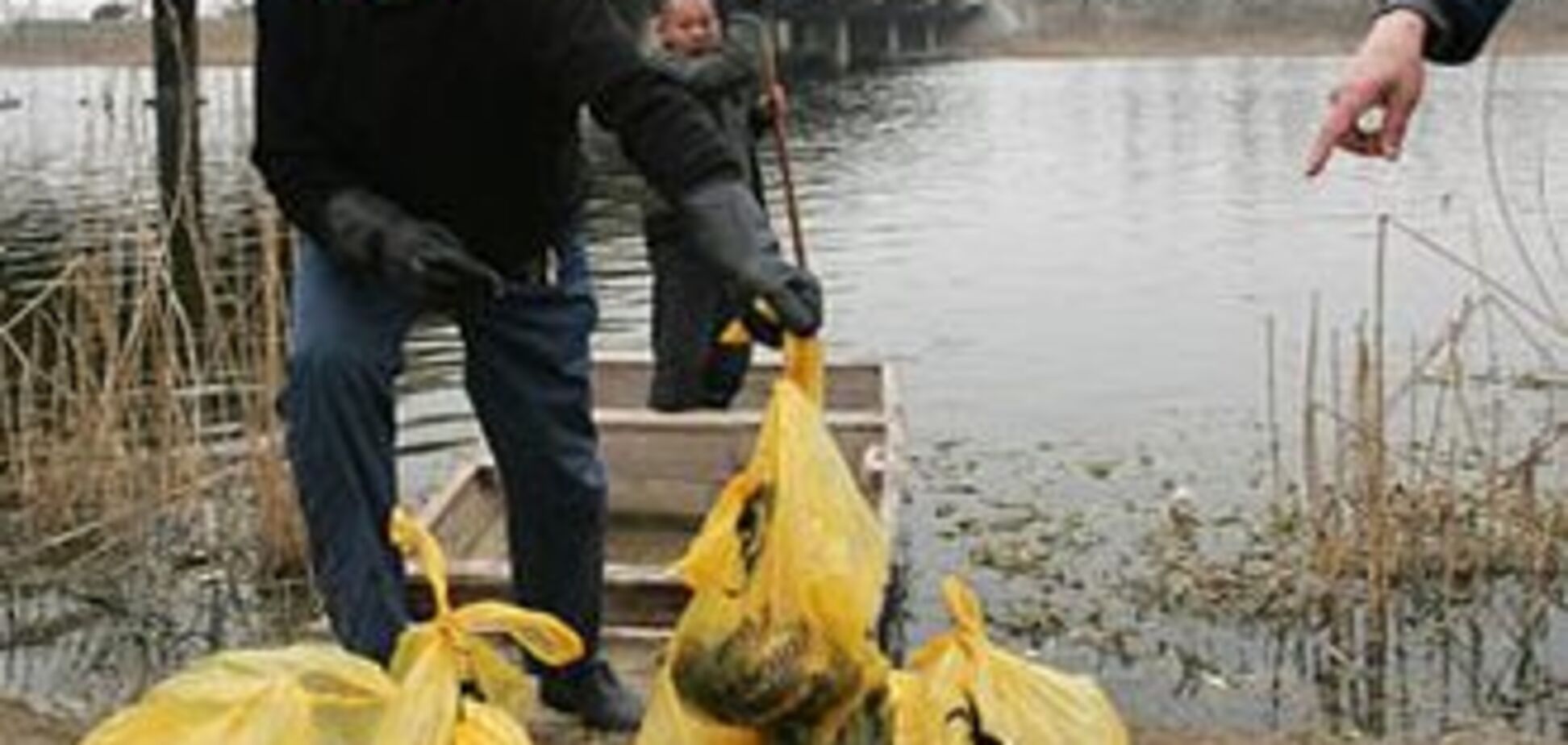 Работники больницы выбросили в реку десятки младенцев