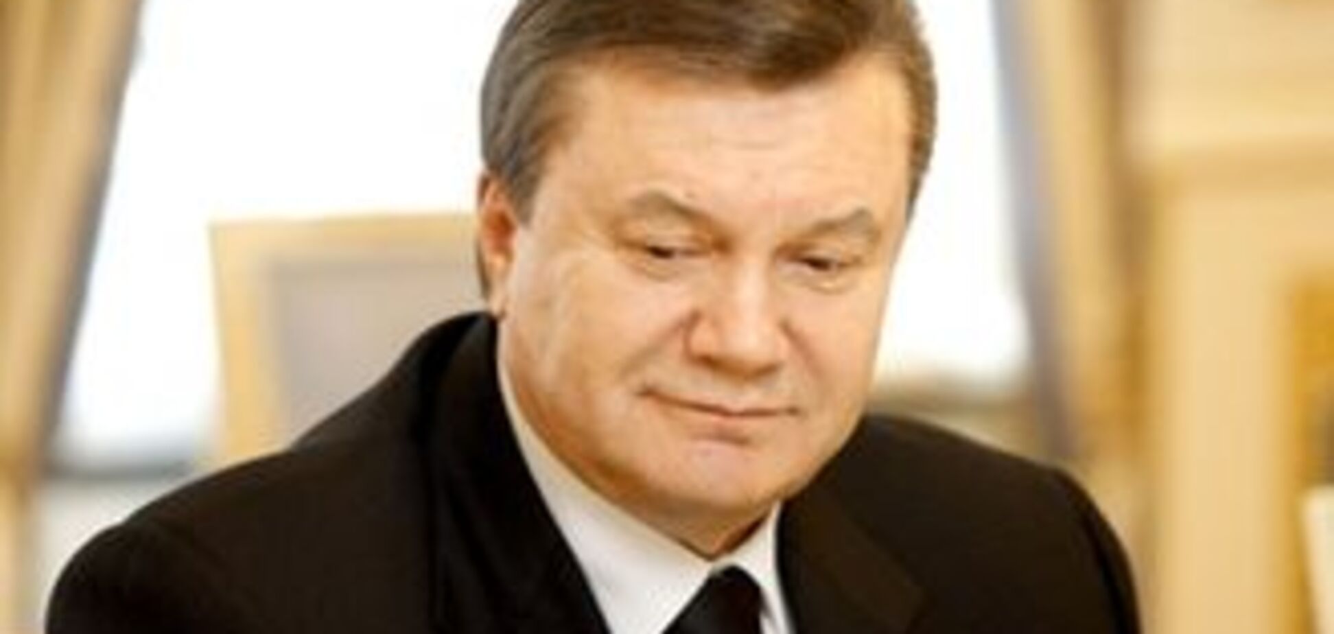 Янукович не понял роли Украины в Таможенном союзе