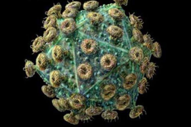 Вчені з'ясували, де в організмі людини ховається ВІЛ