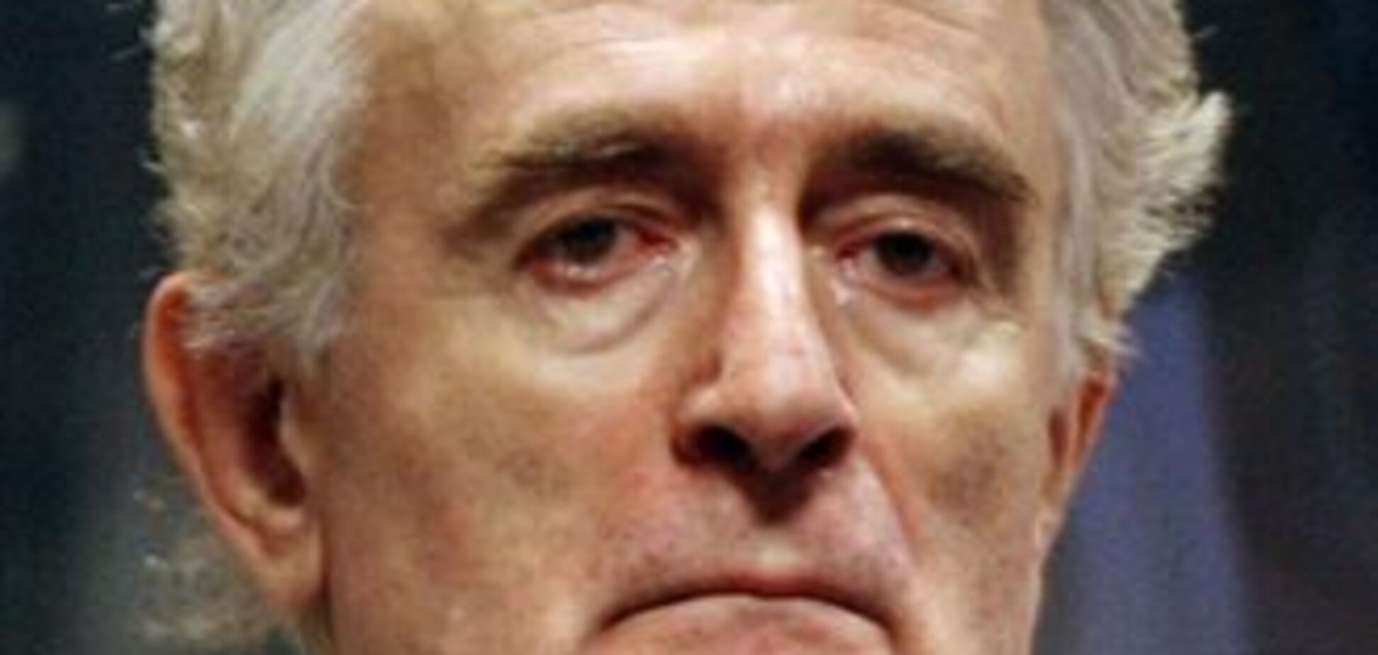 У Гаазі відновлюють суд над Караджичем