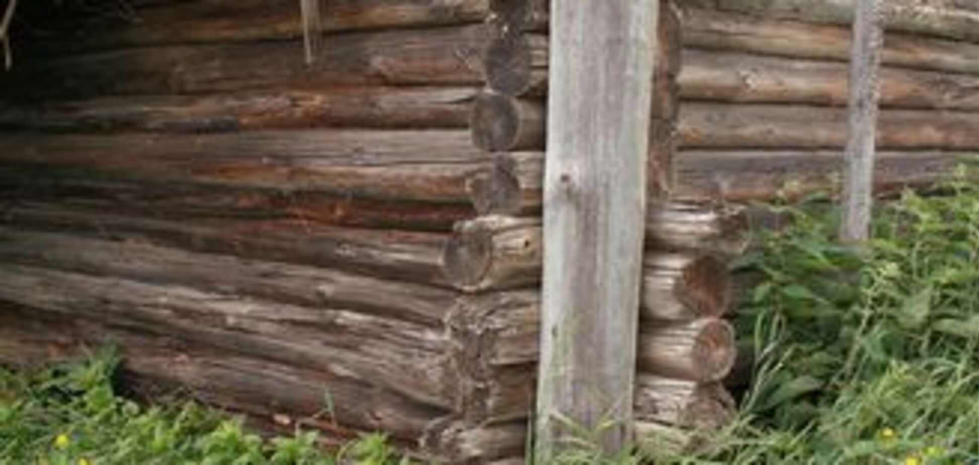 На Черниговщине строят новые партизанские землянки