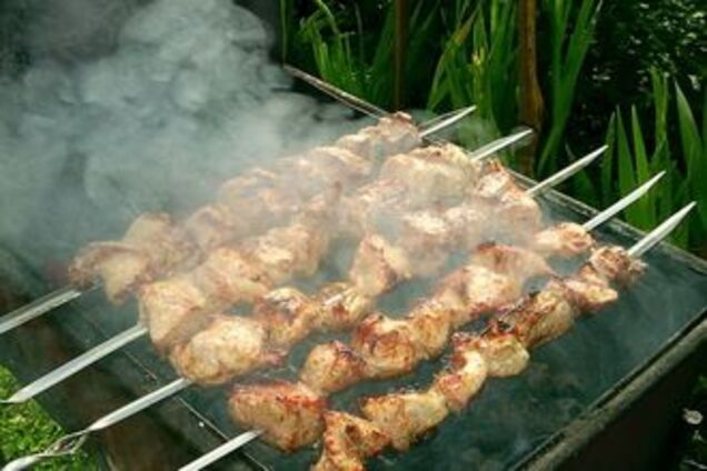 Работу минобороны нарушил сильный запах шашлыка