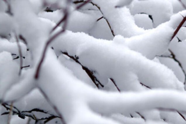 Завтра в Україні випаде сніг