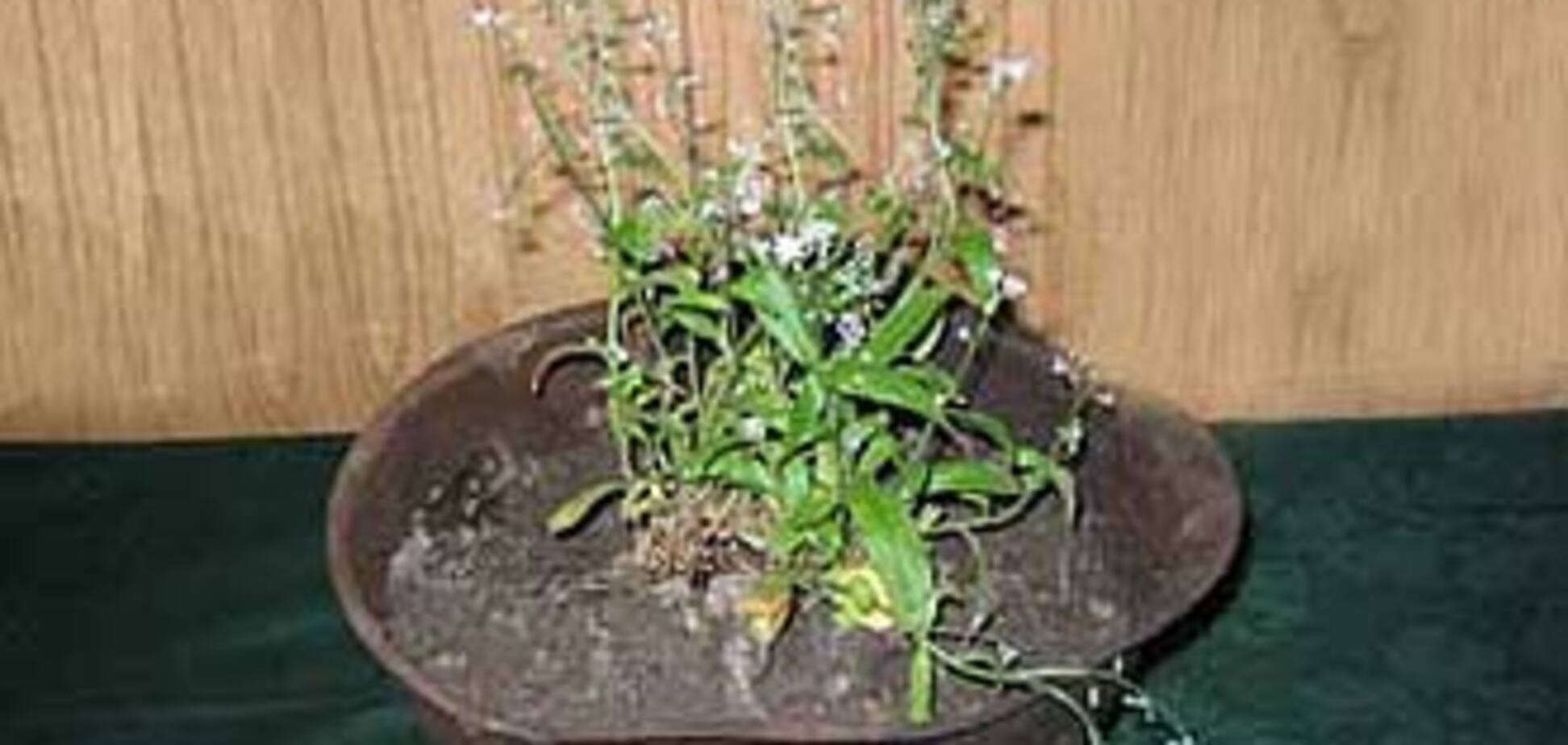 Командир ВЧ в Черкасах здав на металобрухт 70 тис. шоломів