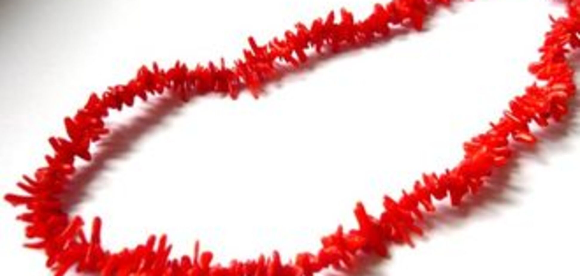 Милиция вернула музею экспонат, кражу которого не заметили