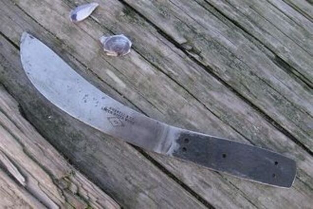 Полиция застрелила сикха с мясницким ножом