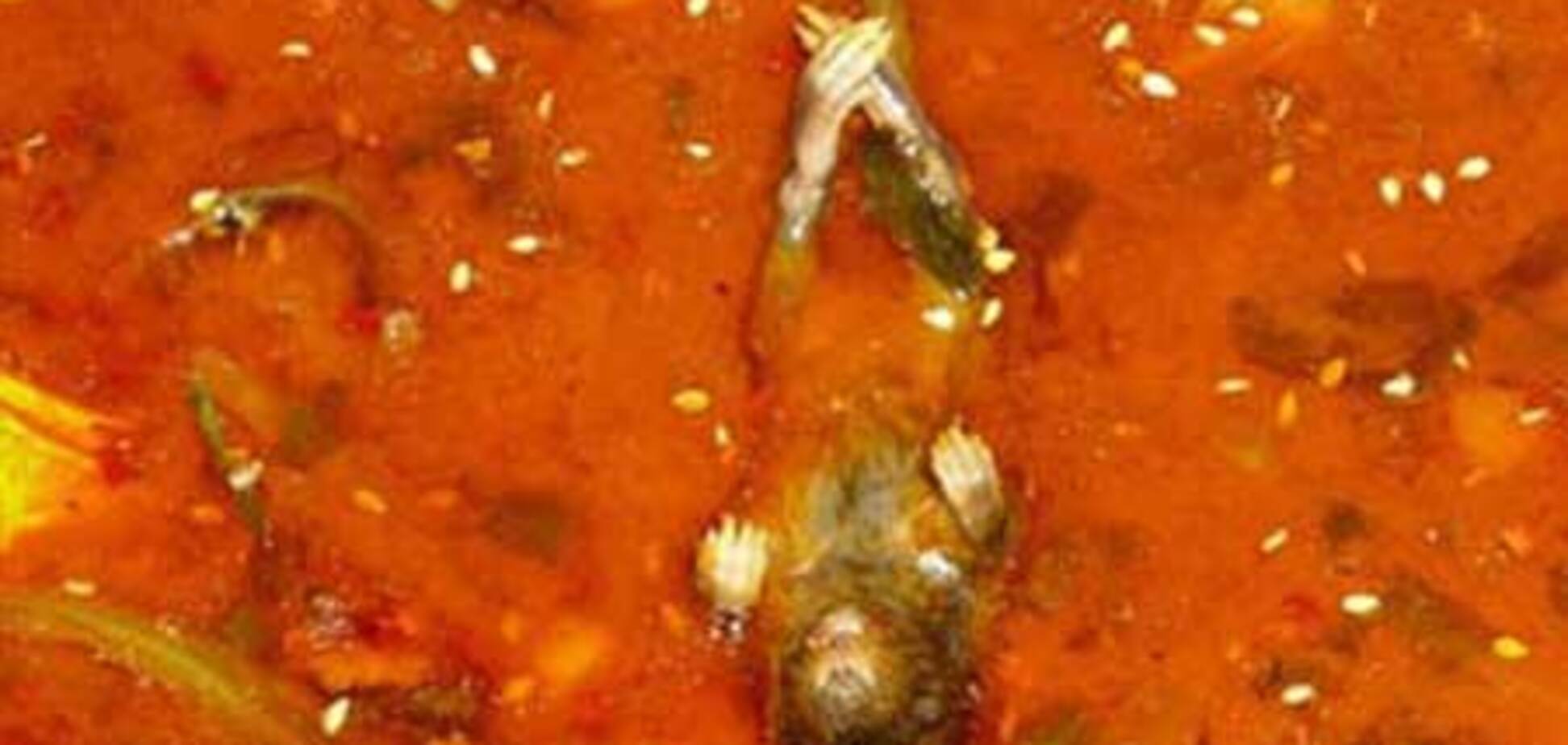 Женщину в ресторане накормили супом из мышей