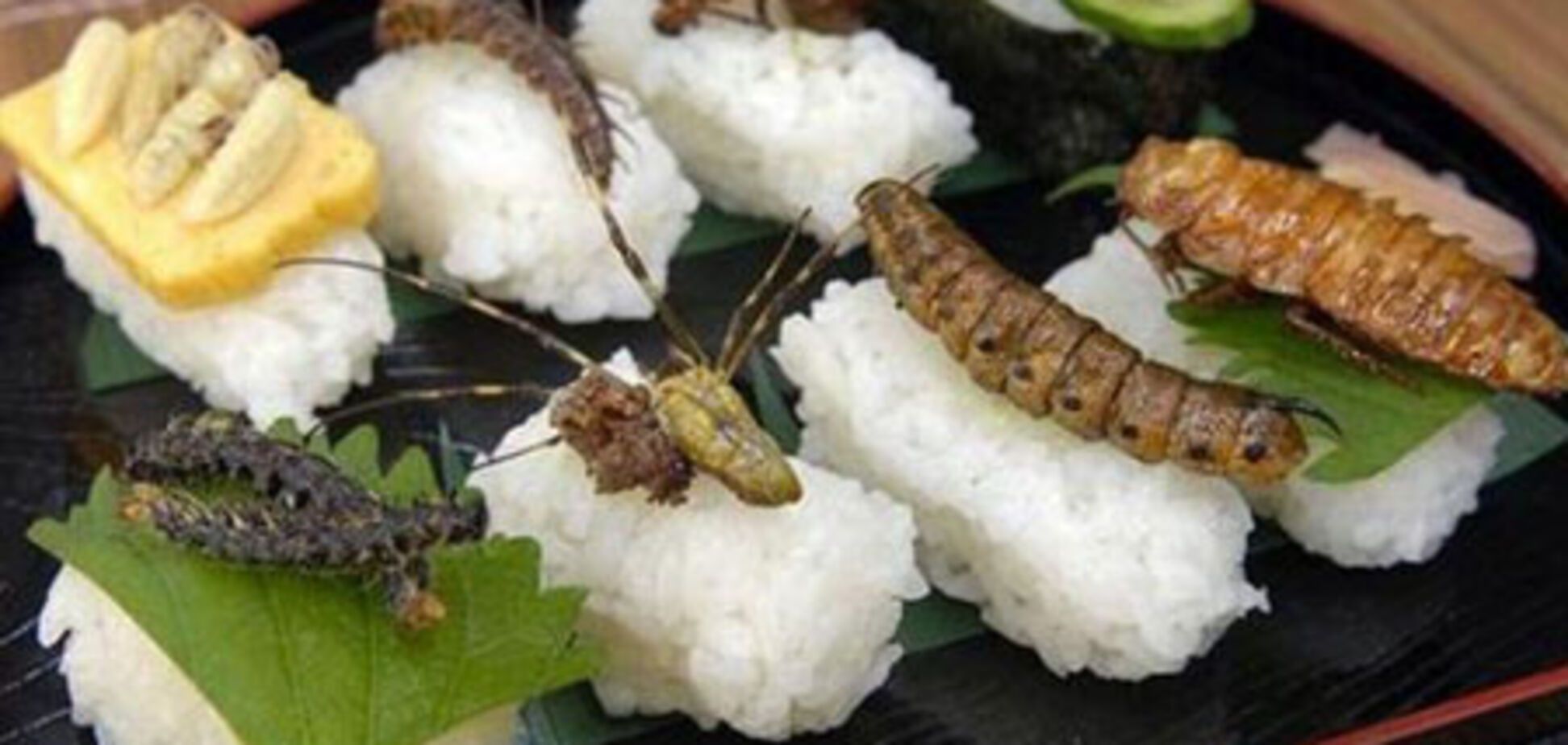 Ресторан быстрого питания Kentucky Fried Chicken оштрафован