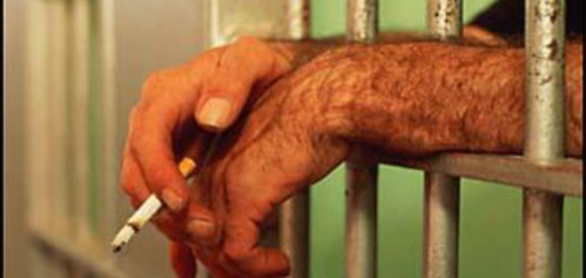 Підозрюваного у педофілії Полюховича випустили з СІЗО