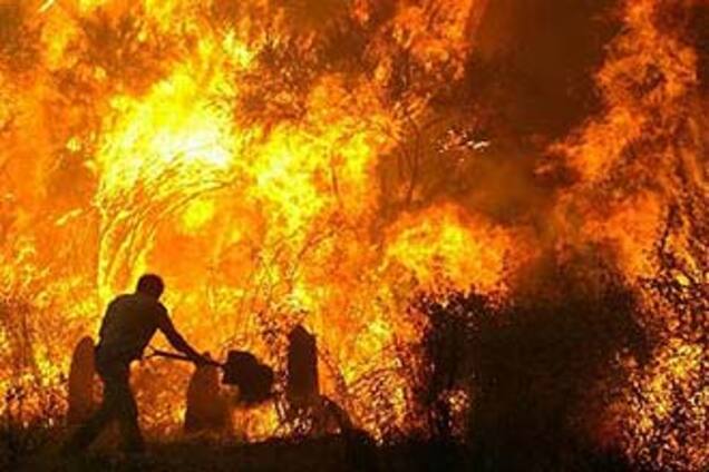 Травневі свята принесуть в Україну лісові пожежі