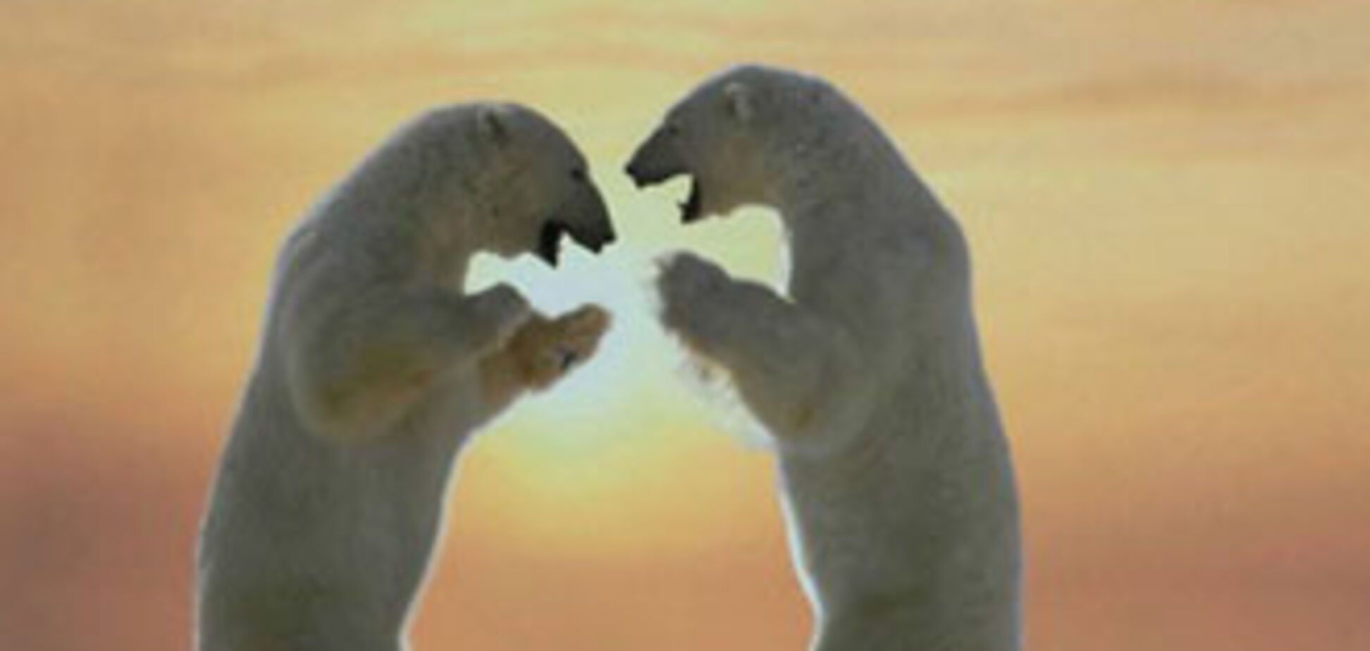 Чоловік і дружина: одна бійка і смерть одна