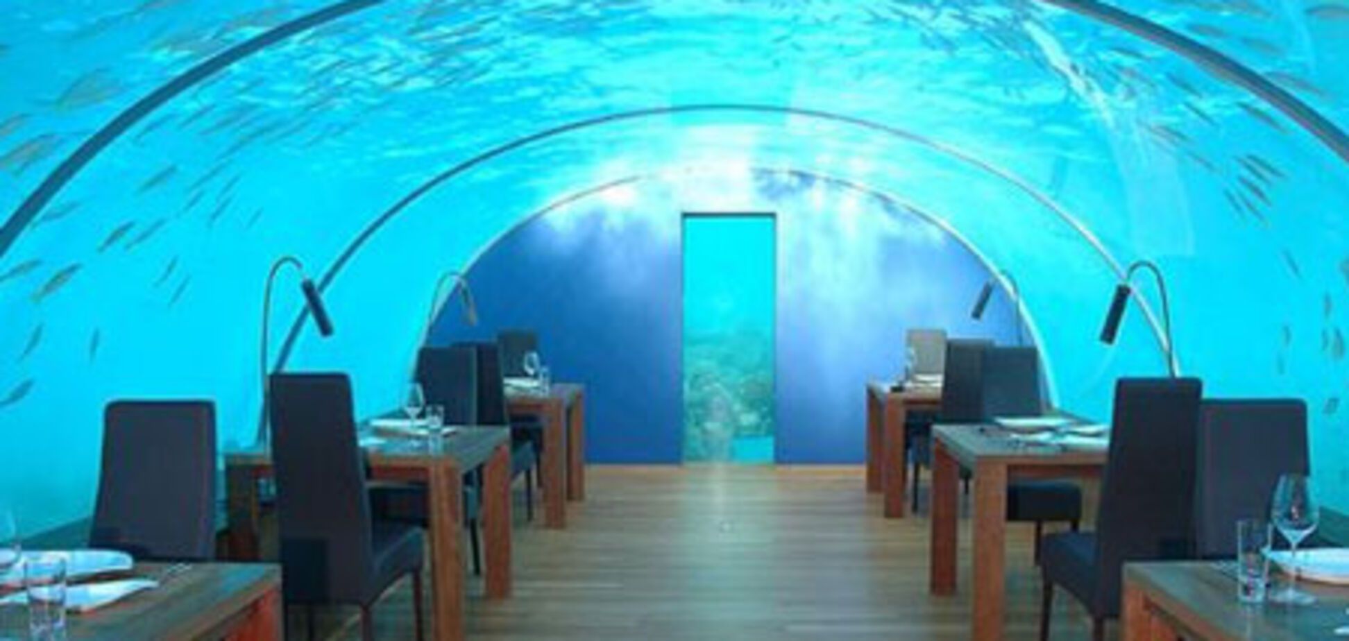 Россияне кормят своих детей в ресторанах