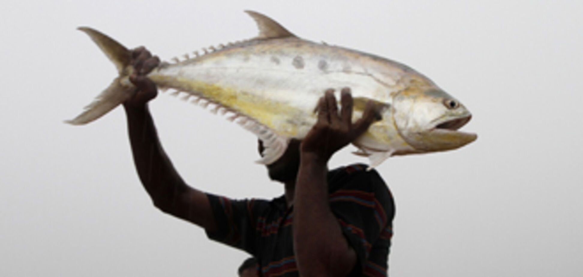 Уникальные снимки майских наводнений в разных странах